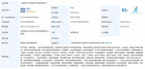 新東方文旅在上海成立新公司，擴(kuò)展信息咨詢(xún)服務(wù)版圖