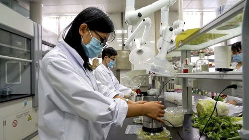 安丘市推進(jìn)農(nóng)產(chǎn)品檢驗(yàn)檢測流程再造，開啟檢測信息共享新篇章